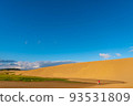Tottori sand dunes of fine weather 93531809