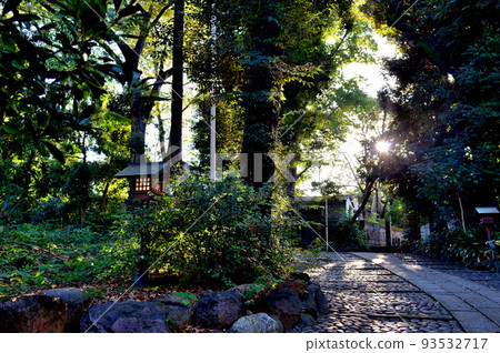 Yoyogi Hachimangu shrine early autumn scenery Yoyogi Hachimangu shrine early autumn scenery 93532717