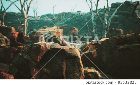 lava stone field with dead trees and plants lava stone field with dead trees and plants 93532823