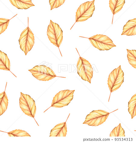 Autumn leaf seamless pattern. Watercolor vintage illustration. Isolated on a white background. 93534313