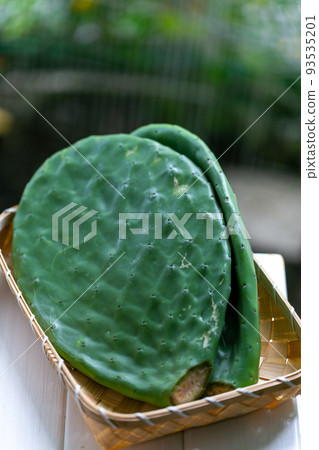 脂肪更簡單 93535201