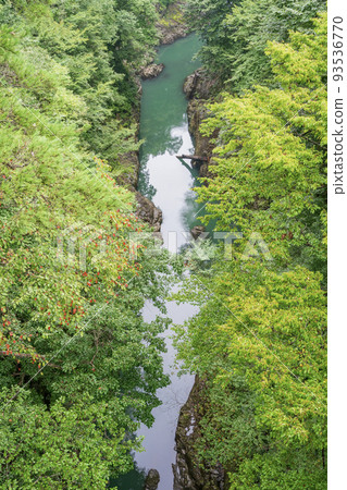 （群馬縣）從猿橋眺望深綠色的吾妻峽谷 93536770