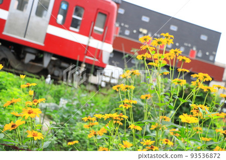 Type 5000 train "Omurice" running on the Ryutetsu Nagareyama Line_Photographed on July 16, 2022 Type 5000 train "Omurice" running on the Ryutetsu Nagareyama Line_Photographed on July 16, 2022 93536872