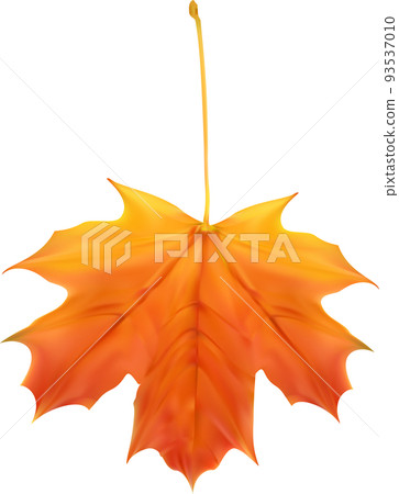 Autumn Fall Leaf Autumn Fall Leaf 93537010