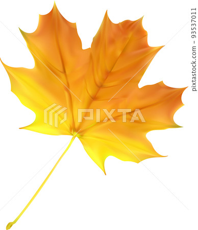 Autumn Fall Leaf 93537011