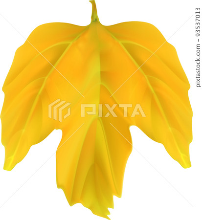 Autumn Fall Leaf Autumn Fall Leaf 93537013