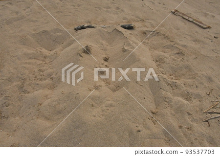 一張臉 一張臉 93537703