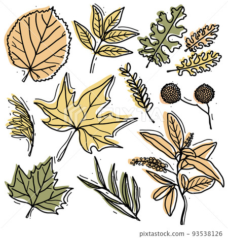 Autumn leaf set - sycamore, linden, ash, maple and other twigs. 93538126