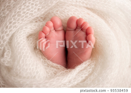 Soft feet of a newborn in a white woolen blanket. Close-up of toes, heels and feet of a newborn baby. The tiny foot of a newborn. Studio Macro photography. Baby feet covered with isolated background. Soft feet of a newborn in a white woolen blanket. Close-up of toes, heels and feet of a newborn baby. The tiny foot of a newborn. Studio Macro photography. Baby feet covered with isolated background. 93538459