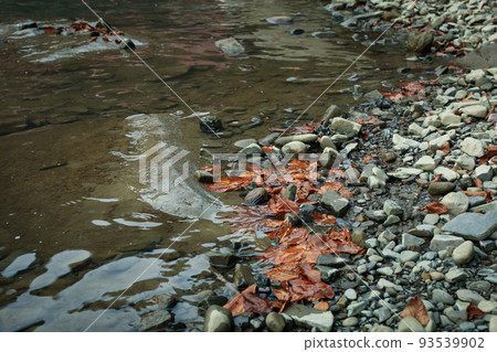 River in the Carpathian mountains in autumn 93539902