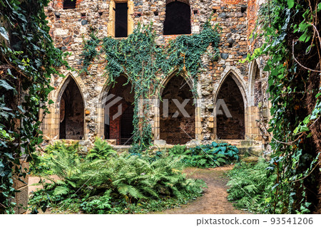 Rosa Coeli monastery, Dolni Kounice, Czech Republic 93541206