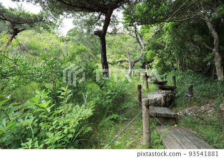 Fujishichihara Marsh, Tahara City, Aichi Prefecture Fujishichihara Marsh, Tahara City, Aichi Prefecture 93541881