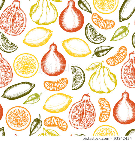 Vintage seamless pattern with citrus fruit. Vintage seamless pattern with citrus fruit. 93542434