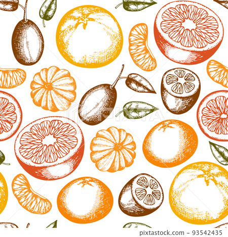 Vintage seamless pattern with citrus fruits. Vintage seamless pattern with citrus fruits. 93542435