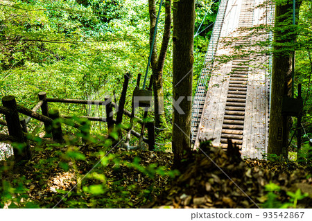 Stock Photo: Fresh green Tomikawa Valley Forest Suspension Bridge Mannen no Mori [Isahaya City, Nagasaki Prefecture] 93542867