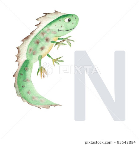 Letter N, newt, cute kids animal ABC alphabet. Watercolor illustration isolated on white background. Can be used for alphabet or cards for kids learning English vocabulary and handwriting Letter N, newt, cute kids animal ABC alphabet. Watercolor illustration isolated on white background. Can be used for alphabet or cards for kids learning English vocabulary and handwriting 93542884