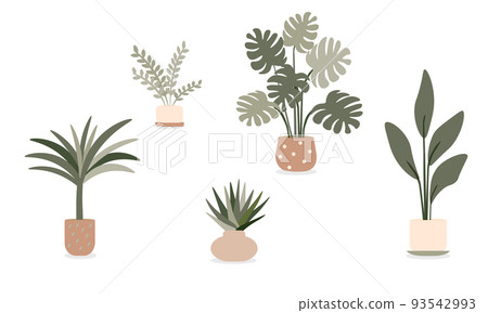 Organic flat houseplant collection. Vector illustration on white. Organic flat houseplant collection. Vector illustration on white. 93542993