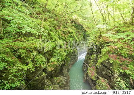 (Gunma Prefecture) Hatcho gloom seen from the dark green Azumakyo and Shikahi Bridge (Gunma Prefecture) Hatcho gloom seen from the dark green Azumakyo and Shikahi Bridge 93543517