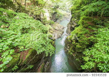 （群馬縣）從深綠色的吾妻京和鹿飛橋看到的下游側 93543539