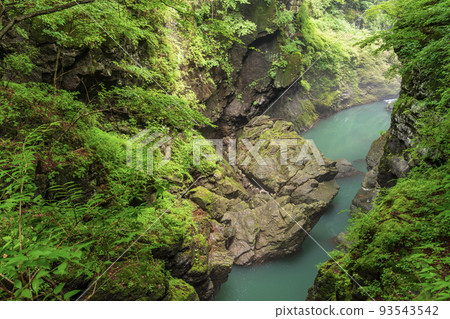 (群馬縣)從深綠色的吾妻京和鹿飛橋看到的下游側 (群馬縣)從深綠色的吾妻京和鹿飛橋看到的下游側 93543542