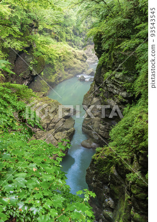 （群馬縣）從深綠色的吾妻京和鹿飛橋看到的下游側 93543545