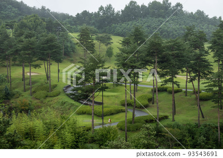 Golf course landscape Golf course landscape 93543691
