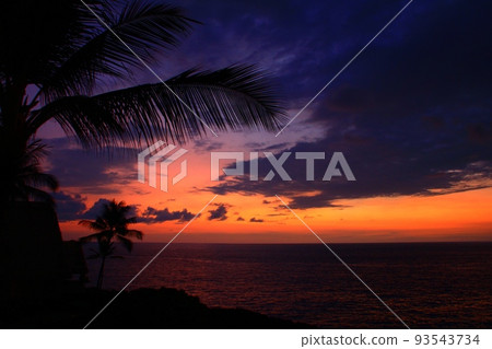 南國的黃昏 93543734