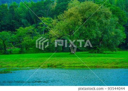 京都府 日本最古老的庭園 大澤池 京都府 日本最古老的庭園 大澤池 93544044