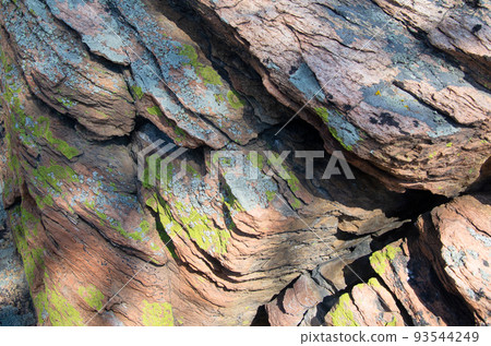 Green and gray lichen on layered rock. Green and gray lichen on layered rock. 93544249