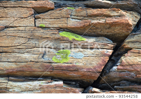 Green lichen on layered rock. The texture of the stone. 93544258