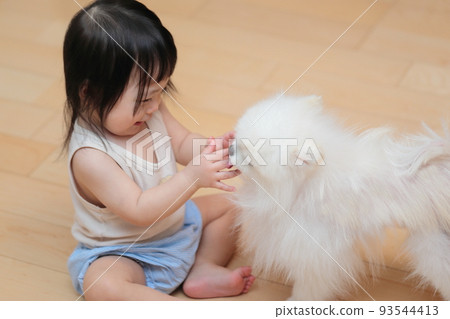 嬰兒和她的狗博美犬玩耍 93544413
