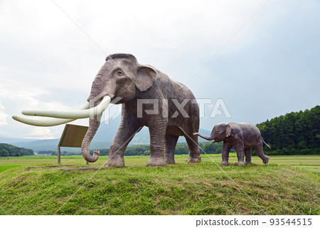 [長野縣信濃町]從國道18號看到的野尻湖Naumann大象 93544515