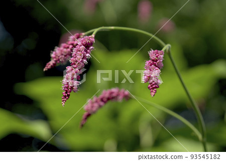 Oketade Oketade 93545182