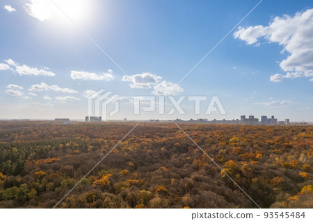 Aerial view of autumn forest in bright sunlight. Aerial view of autumn forest in bright sunlight. 93545484