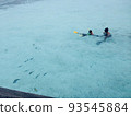 父親和兒子和魚一起游泳。在馬爾代夫海域。 93545884