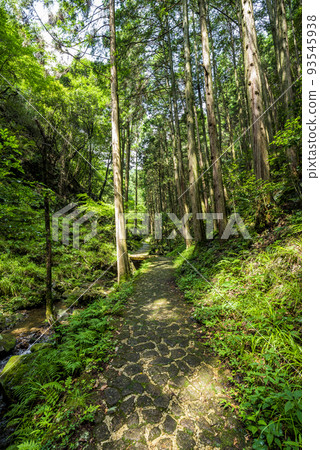 岐阜縣加茂郡八津町五寶瀧公園的清流 岐阜縣加茂郡八津町五寶瀧公園的清流 93545938