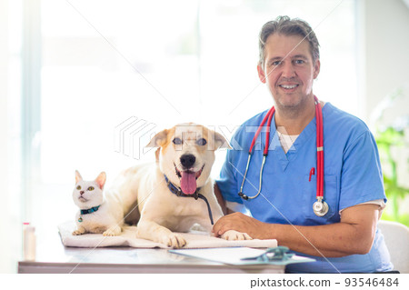 Vet with dog and cat. Puppy and kitten at doctor. 93546484