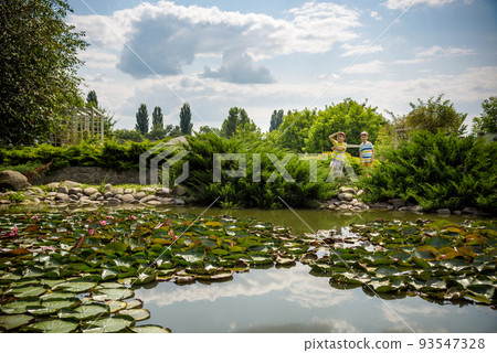 Water lily Nymphaeum - decoration of a pond in the garden. Flowers Water lily Nymphaeum - decoration of a pond in the garden. Flowers 93547328
