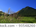 Yufudake and pampas grass autumn scenery Oita Prefecture 93548260