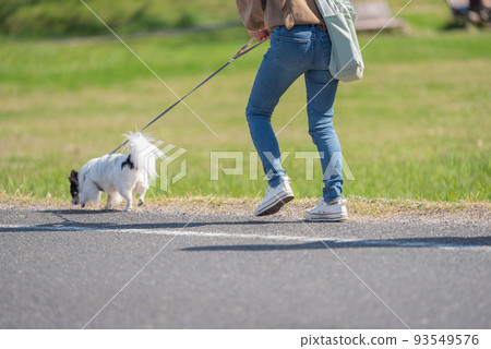 Dog walker ♯ dog ♯ parts cut ♯ lower body ♯ person 93549576