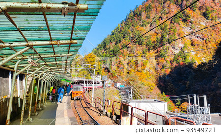 黑部峽谷小火車（秋季）：櫸平站 93549721