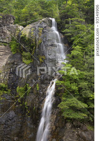 Fudo Falls (Shirakawa, Kamikitayama Village, Yoshino District, Nara Prefecture) Fudo Falls (Shirakawa, Kamikitayama Village, Yoshino District, Nara Prefecture) 93549906
