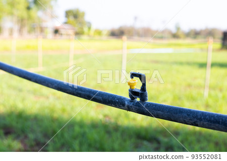 Mini sprinkler heads in the garden reduce drought. 93552081