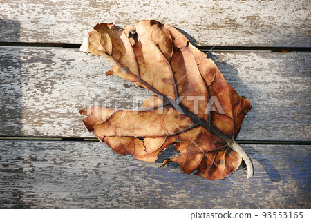 Dry brown leaf on wooden background  93553165