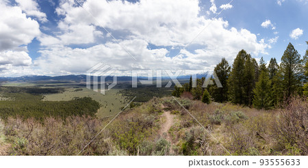 Trees, Land and Mountains in American Landscape. Spring Season. 93555633