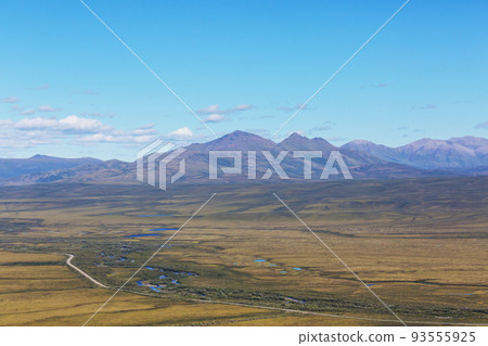 Tundra in Canada 93555925