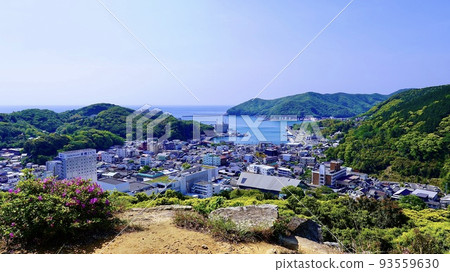 從對馬市伊豆原清水山城看到的街景 93559630