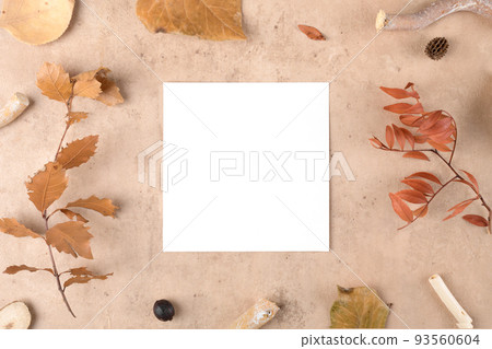 Autumn blank square card mockup for thanksgiving day on natural beige background. Autumn blank square card mockup for thanksgiving day on natural beige background. 93560604