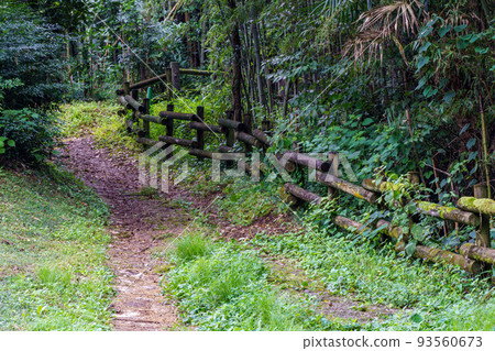 自然公園的小徑 93560673