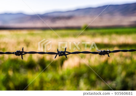 Close up of Barbed wire on the border Close up of Barbed wire on the border 93560681